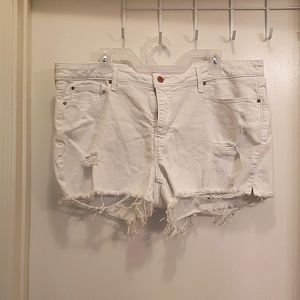 Levis signature short shorts